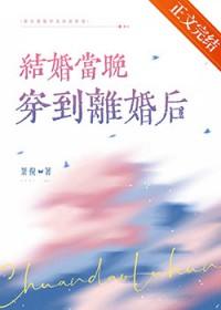 结婚当晚穿到离婚后TXT